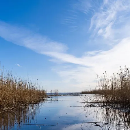 Lejlighed Haffhaeuser Am Stettiner Haff Haus 2 We 9 Golf Special Buchbar *