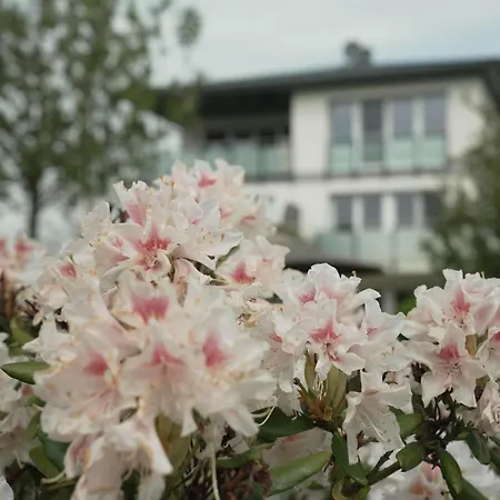 Lejlighed Haffhaeuser Am Stettiner Haff Haus 2 We 9 Golf Special Buchbar Garz (Usedom)