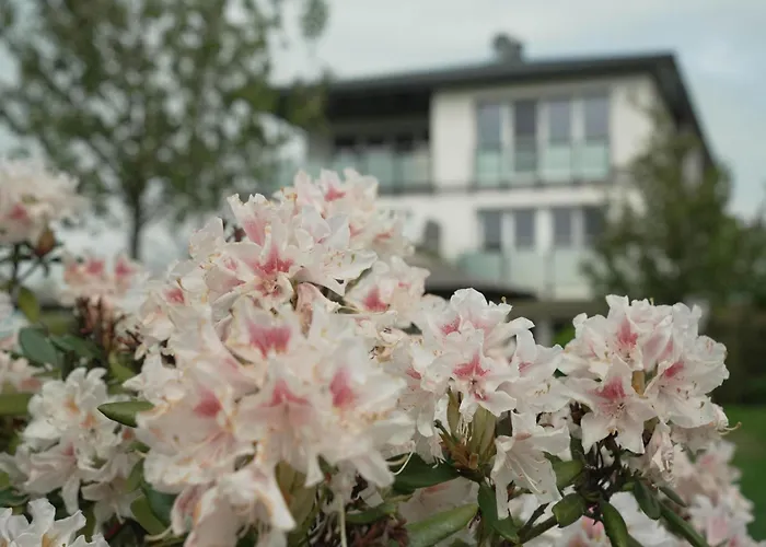 Lägenhet Haffhaeuser Am Stettiner Haff Haus 2 We 9 Golf Special Buchbar Garz (Usedom)